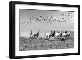 Wild Horses 2M-Ata Alishahi-Framed Giclee Print