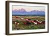 Wild Horses and Sunrise-Lantern Press-Framed Art Print