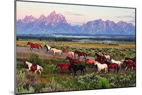 Wild Horses and Sunrise-Lantern Press-Mounted Art Print