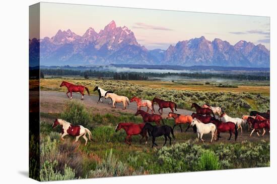 Wild Horses and Sunrise-Lantern Press-Stretched Canvas