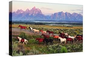 Wild Horses and Sunrise-Lantern Press-Stretched Canvas