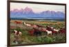 Wild Horses and Sunrise-Lantern Press-Framed Art Print