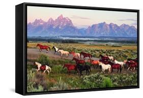 Wild Horses and Sunrise-Lantern Press-Framed Stretched Canvas