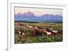 Wild Horses and Sunrise-Lantern Press-Framed Art Print