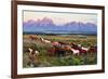 Wild Horses and Sunrise-Lantern Press-Framed Art Print