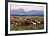 Wild Horses and Sunrise-Lantern Press-Framed Art Print