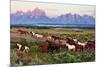 Wild Horses and Sunrise-Lantern Press-Mounted Art Print