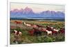 Wild Horses and Sunrise-Lantern Press-Framed Premium Giclee Print