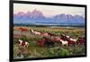 Wild Horses and Sunrise-Lantern Press-Framed Premium Giclee Print