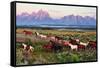 Wild Horses and Sunrise-Lantern Press-Framed Stretched Canvas