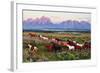 Wild Horses and Sunrise-Lantern Press-Framed Art Print