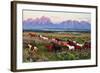 Wild Horses and Sunrise-Lantern Press-Framed Art Print