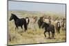 Wild horses approaching waterhole-Ken Archer-Mounted Photographic Print
