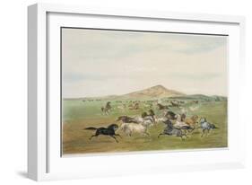 Wild Horses at Play-George Catlin-Framed Giclee Print