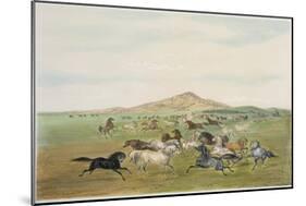 Wild Horses at Play-George Catlin-Mounted Giclee Print