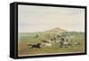 Wild Horses at Play-George Catlin-Framed Stretched Canvas