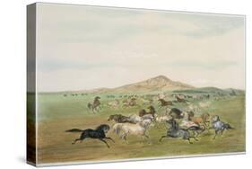 Wild Horses at Play-George Catlin-Stretched Canvas