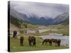 Wild Horses at River, Karkakol, Kyrgyzstan, Central Asia-Michael Runkel-Stretched Canvas