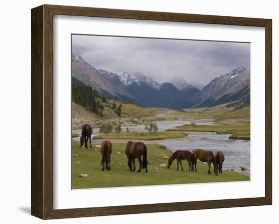 Wild Horses at River, Karkakol, Kyrgyzstan, Central Asia-Michael Runkel-Framed Photographic Print