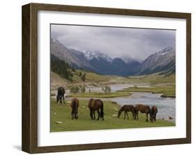 Wild Horses at River, Karkakol, Kyrgyzstan, Central Asia-Michael Runkel-Framed Photographic Print