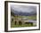 Wild Horses at River, Karkakol, Kyrgyzstan, Central Asia-Michael Runkel-Framed Photographic Print