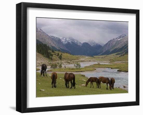 Wild Horses at River, Karkakol, Kyrgyzstan, Central Asia-Michael Runkel-Framed Photographic Print