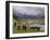 Wild Horses at River, Karkakol, Kyrgyzstan, Central Asia-Michael Runkel-Framed Photographic Print