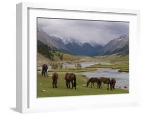 Wild Horses at River, Karkakol, Kyrgyzstan, Central Asia-Michael Runkel-Framed Photographic Print