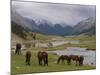 Wild Horses at River, Karkakol, Kyrgyzstan, Central Asia-Michael Runkel-Mounted Photographic Print