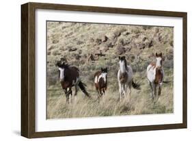 Wild Horses, Family Group-Ken Archer-Framed Photographic Print