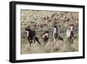 Wild Horses, Family Group-Ken Archer-Framed Photographic Print