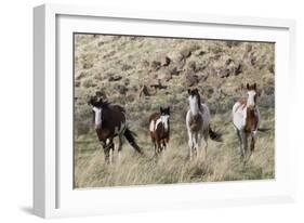 Wild Horses, Family Group-Ken Archer-Framed Photographic Print