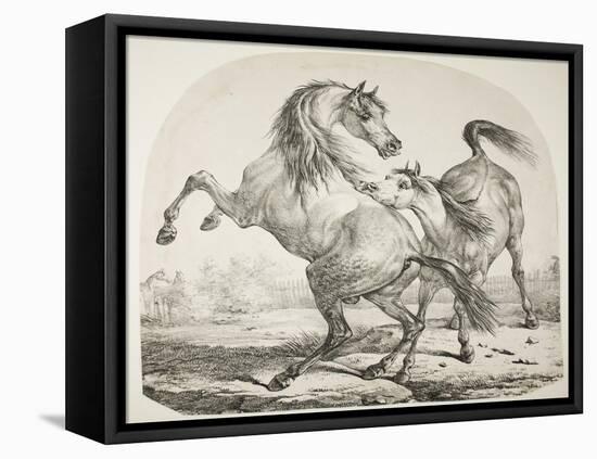 Wild Horses Fighting, C.1820-Antoine Charles Horace Vernet-Framed Stretched Canvas