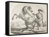 Wild Horses Fighting, C.1820-Antoine Charles Horace Vernet-Framed Stretched Canvas