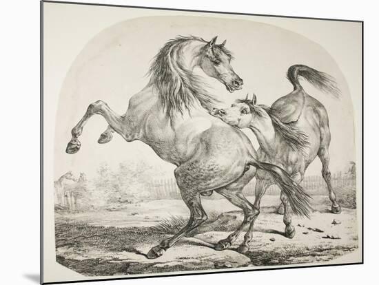 Wild Horses Fighting, C.1820-Antoine Charles Horace Vernet-Mounted Giclee Print