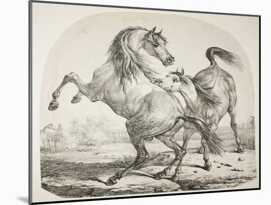 Wild Horses Fighting, C.1820-Antoine Charles Horace Vernet-Mounted Giclee Print