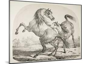 Wild Horses Fighting, C.1820-Antoine Charles Horace Vernet-Mounted Giclee Print