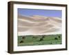 Wild Horses, Gobi Desert, Mongolia-Gavriel Jecan-Framed Photographic Print