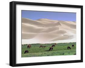 Wild Horses, Gobi Desert, Mongolia-Gavriel Jecan-Framed Photographic Print