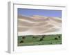 Wild Horses, Gobi Desert, Mongolia-Gavriel Jecan-Framed Photographic Print