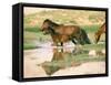 Wild Horses, Gobi Desert, Mongolia-Gavriel Jecan-Framed Stretched Canvas