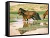 Wild Horses, Gobi Desert, Mongolia-Gavriel Jecan-Framed Stretched Canvas