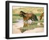 Wild Horses, Gobi Desert, Mongolia-Gavriel Jecan-Framed Photographic Print