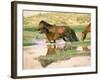 Wild Horses, Gobi Desert, Mongolia-Gavriel Jecan-Framed Photographic Print