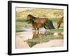 Wild Horses, Gobi Desert, Mongolia-Gavriel Jecan-Framed Photographic Print