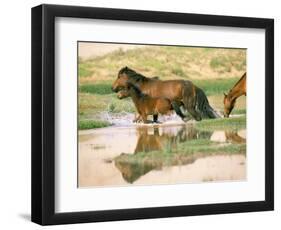 Wild Horses, Gobi Desert, Mongolia-Gavriel Jecan-Framed Photographic Print