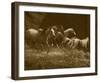 Wild Horses I-null-Framed Art Print