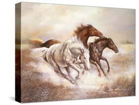 Wild Horses I-Ruane Manning-Stretched Canvas