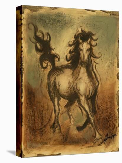 Wild Horses I-Ethan Harper-Stretched Canvas