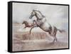 Wild Horses II-Ruane Manning-Framed Stretched Canvas